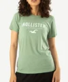 T-Shirts HOLLISTER Pour Femme Vert