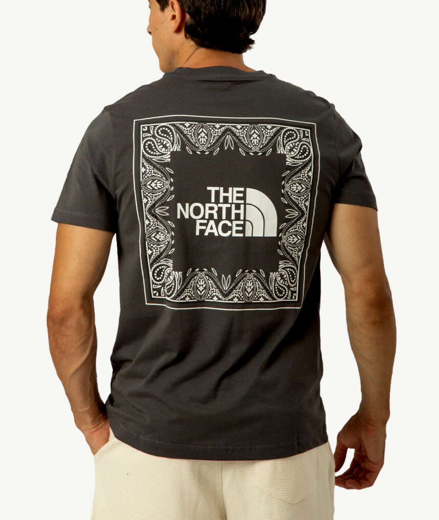 T-Shirts THE NORTH FACE Gris foncé – Image 2