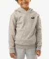 Hoodies Puma Gris